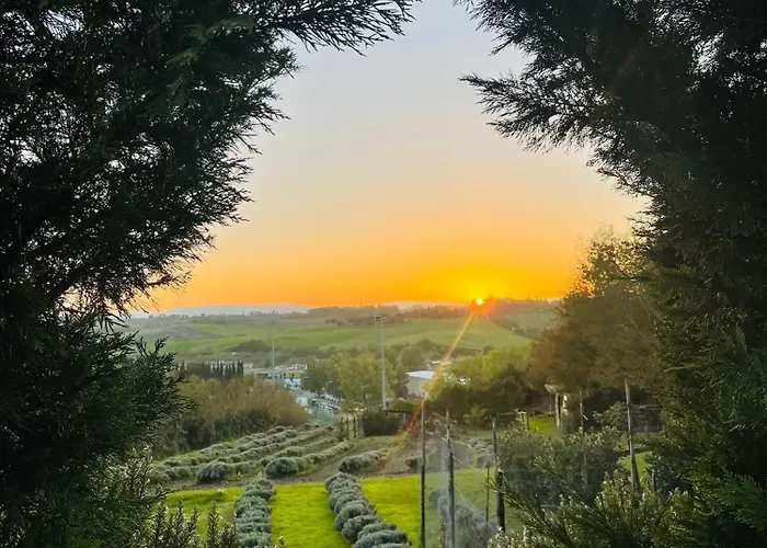 Il Lavandeto - Farmhouse In The City Siena